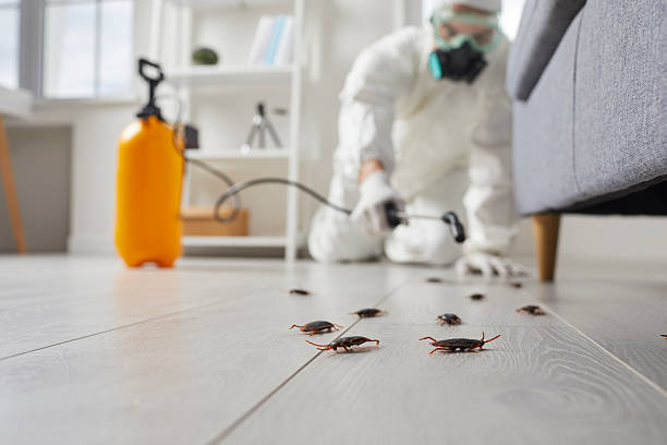 Trusted Rodent Control service in Moscow Mills, MO - Nex Pest Control